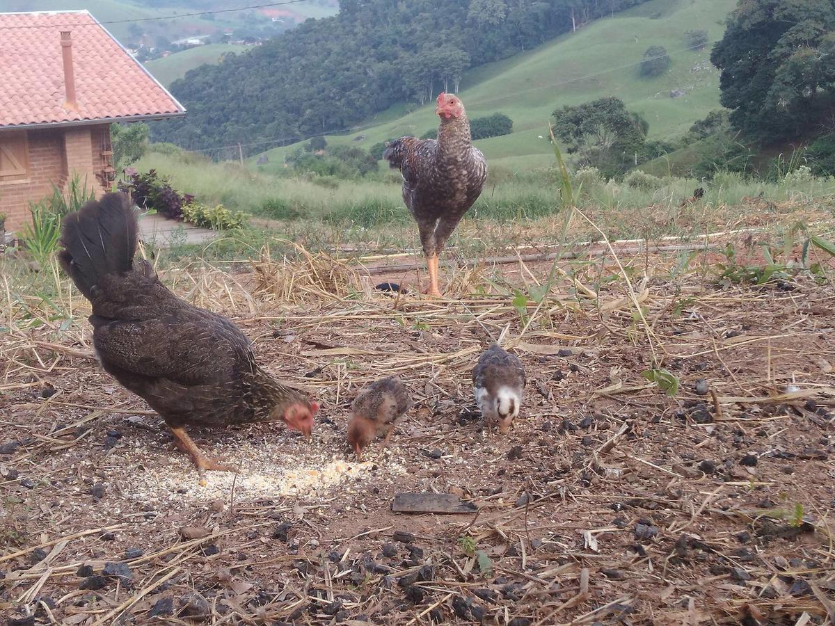Reobote Chales São Bento do Sapucaí Exteriér fotografie