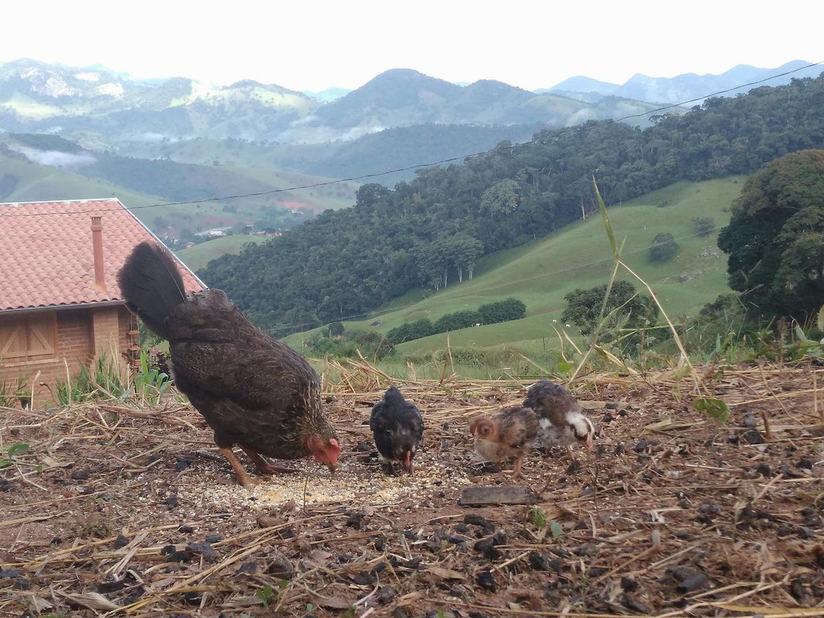 Reobote Chales São Bento do Sapucaí Exteriér fotografie